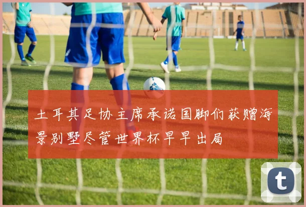 土耳其足协主席承诺国脚们获赠海景别墅尽管世界杯早早出局
